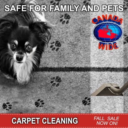 carpet cleaning moose jaw saskatchewan