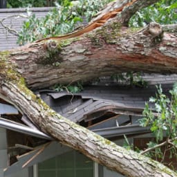 storm damage restoration, Flood and storm damage cleanup. Tree Fallen on House.