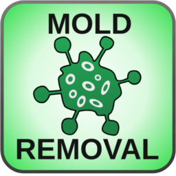 MOLD-REMOVAL-REGINA