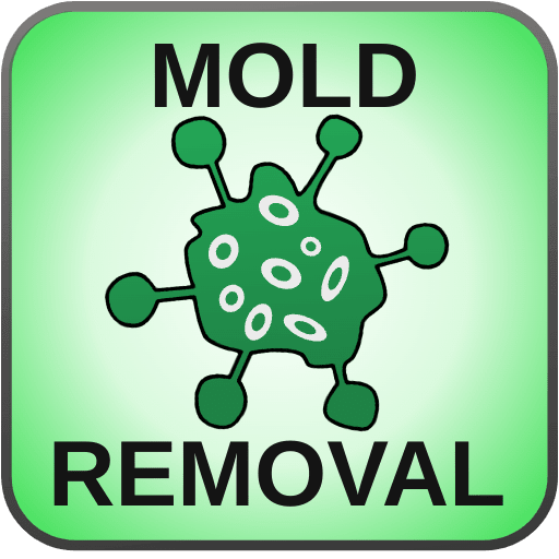 MOLD-REMOVAL-REGINA