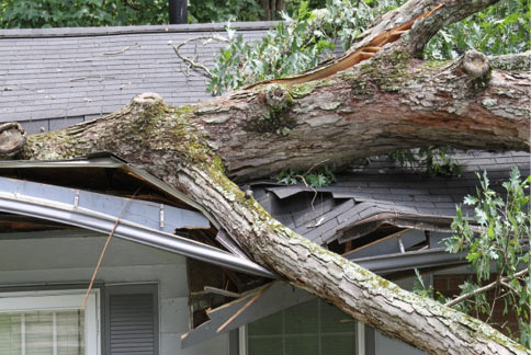 Fast and Reliable Wind and Storm Damage Restoration Services - Minimize Damage and Get Back to Normal - Canada Wide Restoration