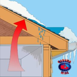 illustration of ice dam damage needing remediation